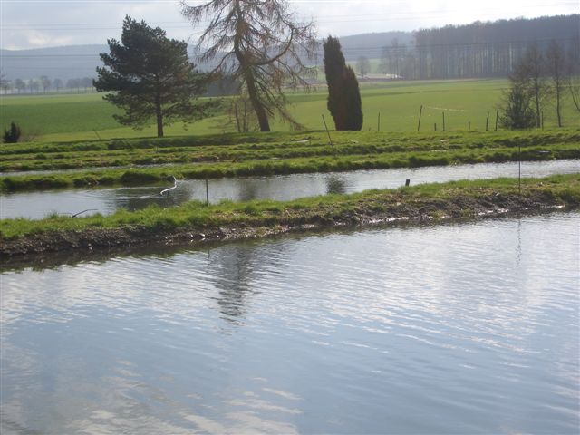 Teiche 033