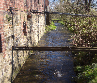 Teiche 05305
